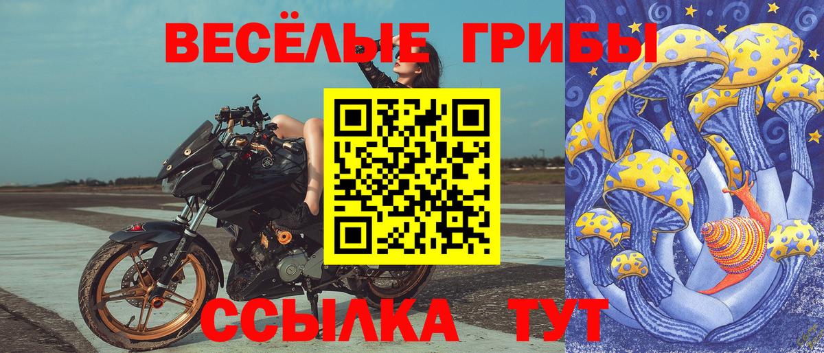 Новодвинск  где купить   Вход с VPN  Галлюциногенные грибы GOLDEN TEACHER  Галлюциногенные грибы ЛСД 